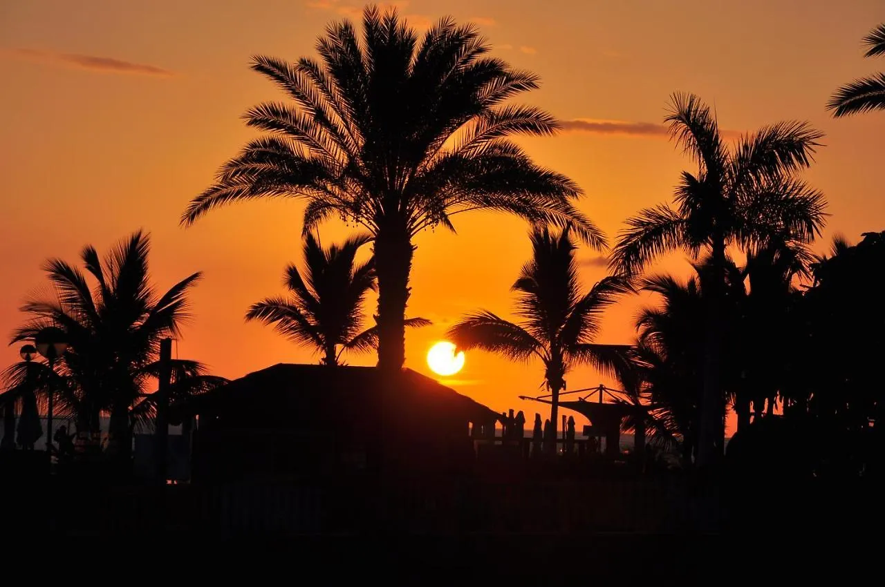 B&B Paraiso Del Sol Maspalomas  Bed & Breakfast